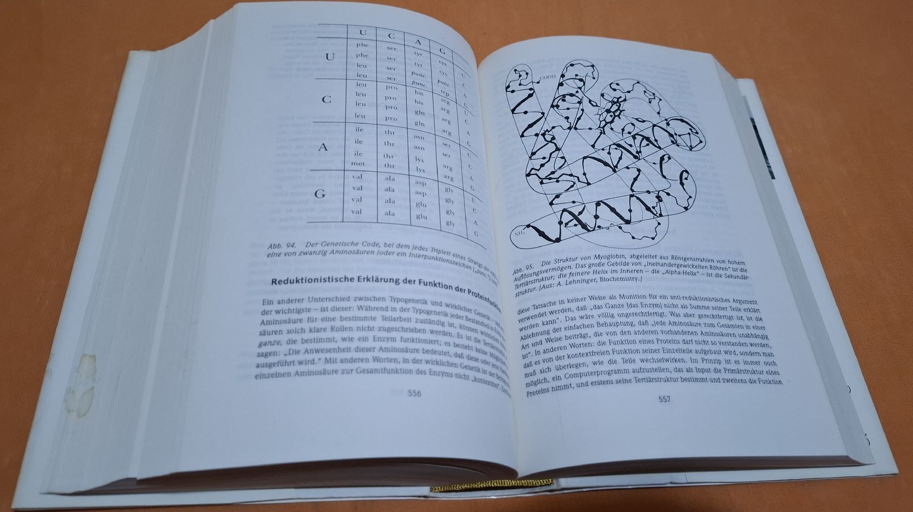 Libri: Douglas R. Hofstadter - Gödel, Escher, Bach – Usato da Zürich venduto da apf_b8zl 7
