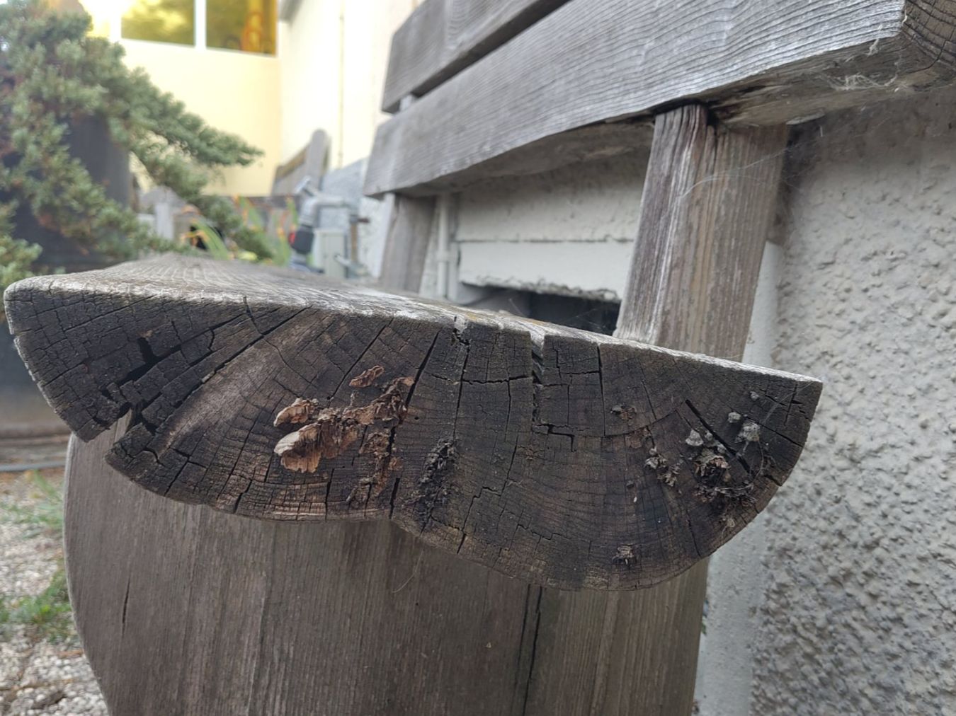 Panchine: Gartenbank aus Holz – Usato da Birsfelden venduto da Stephan.W 2