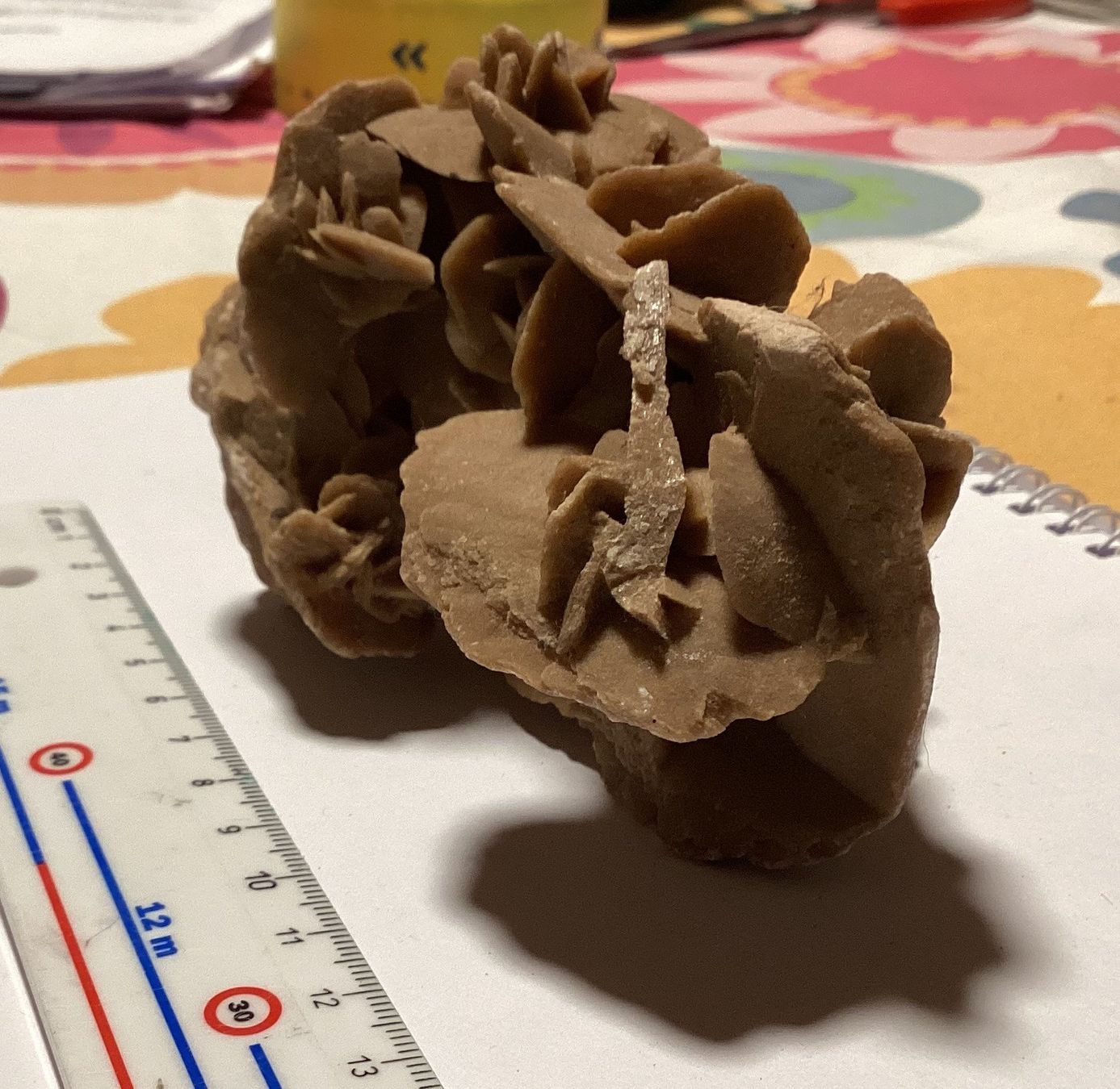Mineralien & Heilsteine: Rosa del deserto – Gebraucht aus Arogno von alan_service 2