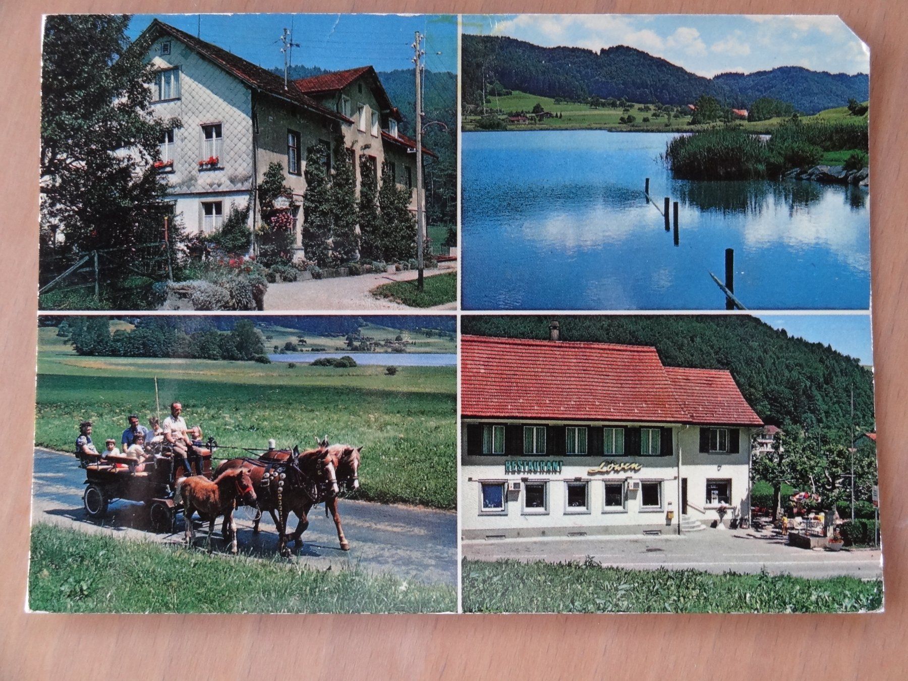 Cartoline postali: Bichelsee - Ranchferien - 1978 – Usato da St Léonard venduto da Riglin