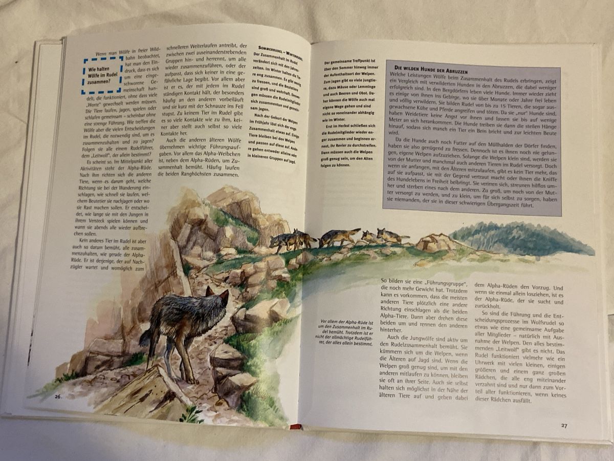 Libri: Was ist Was Bücher – Nuovo (secondo la descrizione) da Uetikon am See venduto da sarentio 5