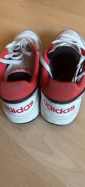 Scarpe da uomo: Adidas Sneakers – Usato da Adliswil venduto da DutyOfficer 1