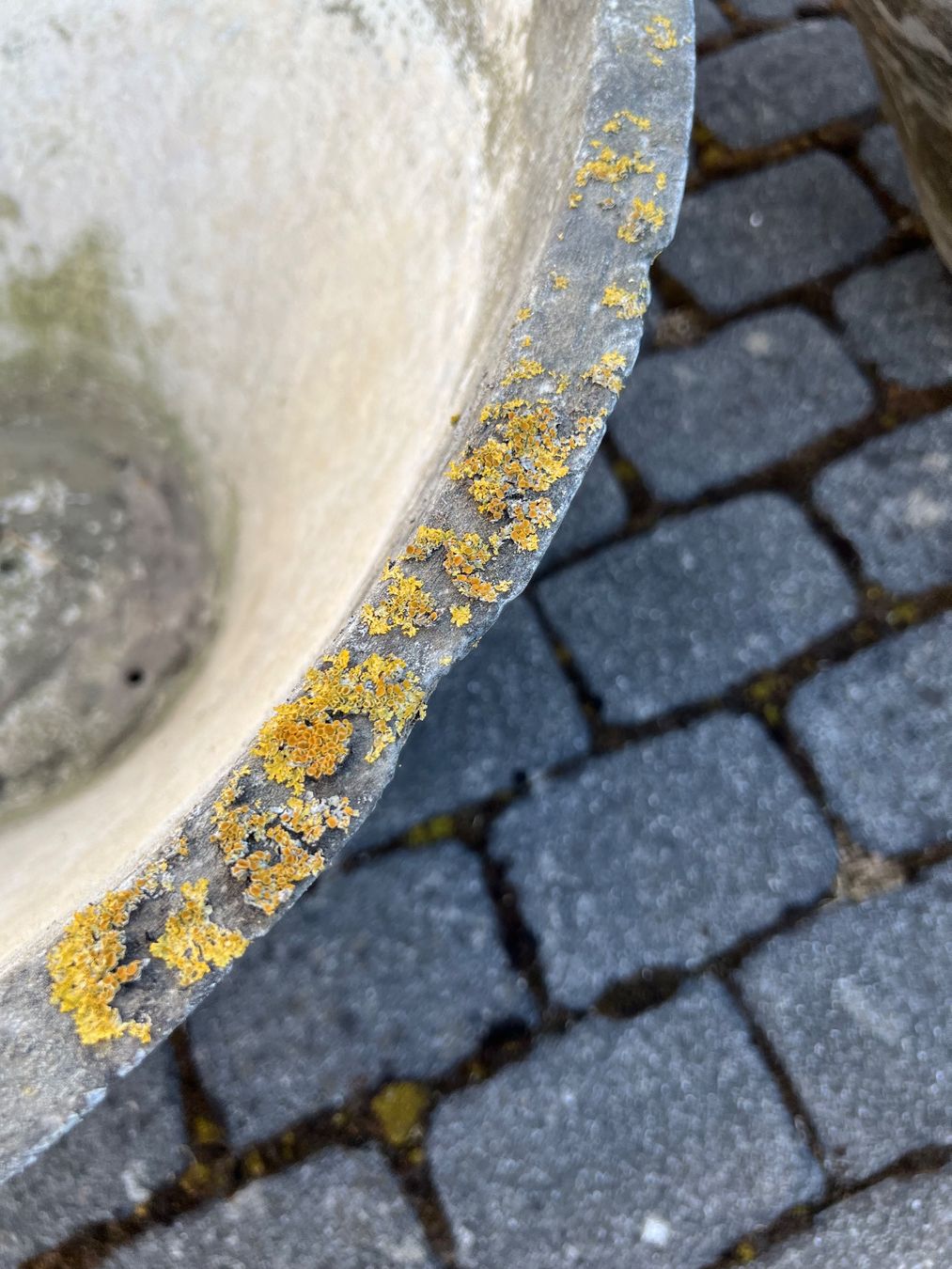 Eternit Vasi per fiori: Pflanzentopf / Eternit / ev. Willy Guhl – Usato da aarwangen venduto da Butzi99 5