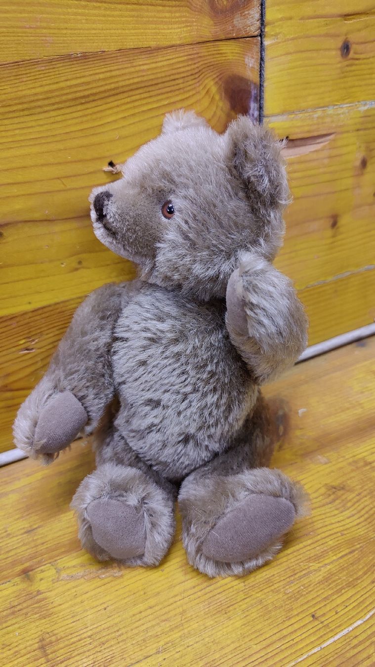Steiff Giocattoli: Antiker Steiff Teddy, Teddybär (L10) – Usato da Neuenhof venduto da SchnaeppliAllerlei 1