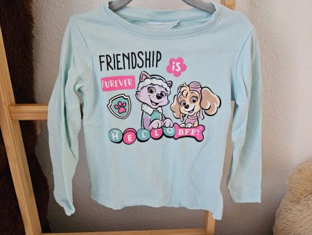 Paw Patrol Shirt, Gr. 104, Türkis, Langarm