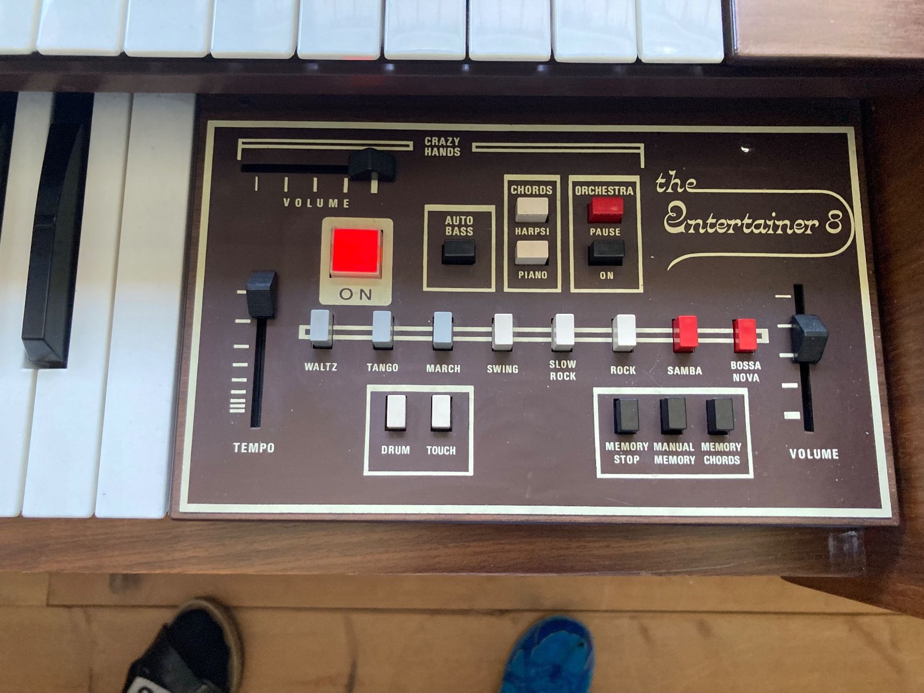 Strumenti musicali: Harmonium Elgam – Usato da Domat/Ems venduto da Lareina2015 9