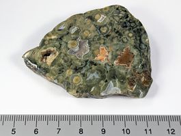 Rhyolith - Regenwaldjaspis Platte 6,2cm - 45 Gramm