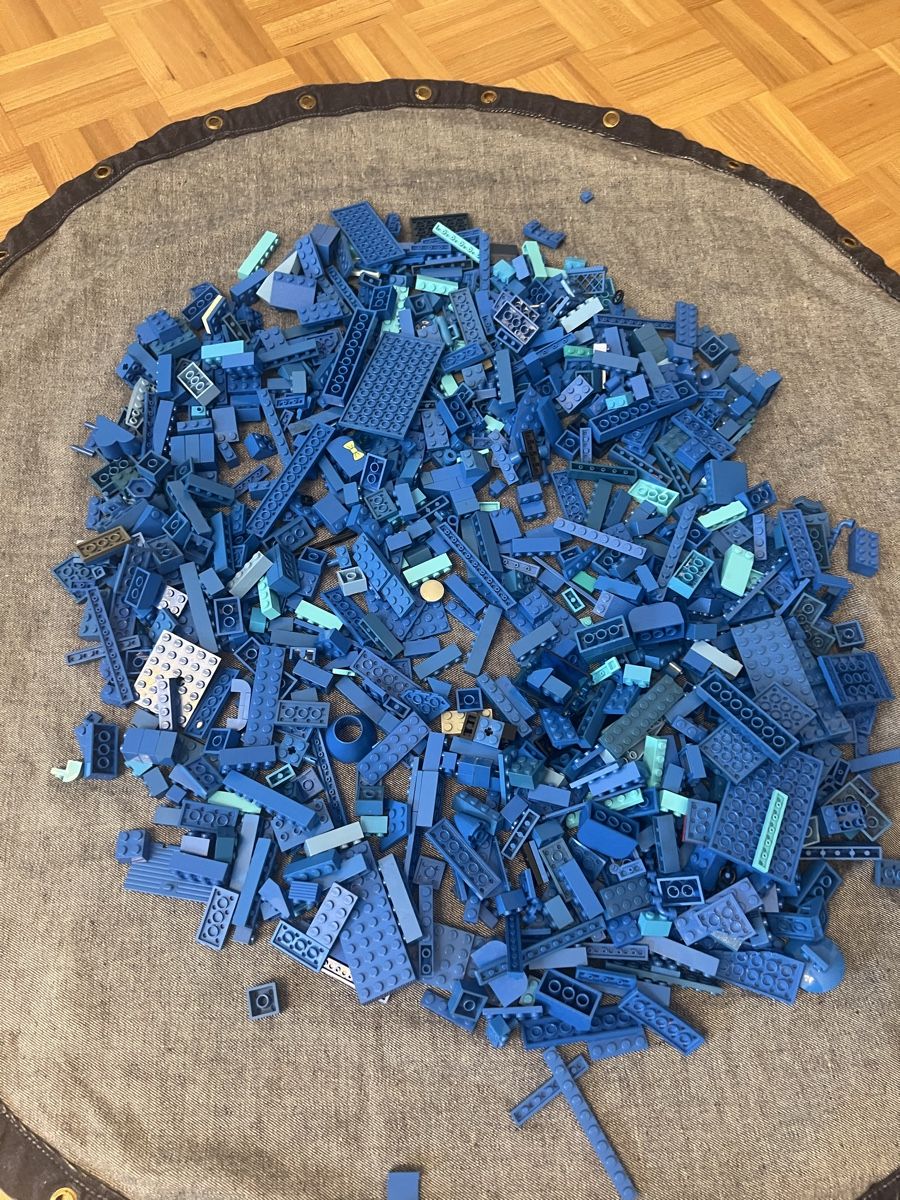 Lego Giocattoli: Konvolut blauer Lego Steine. 1kg. – Usato da Zollikon venduto da elm_nrr7 1