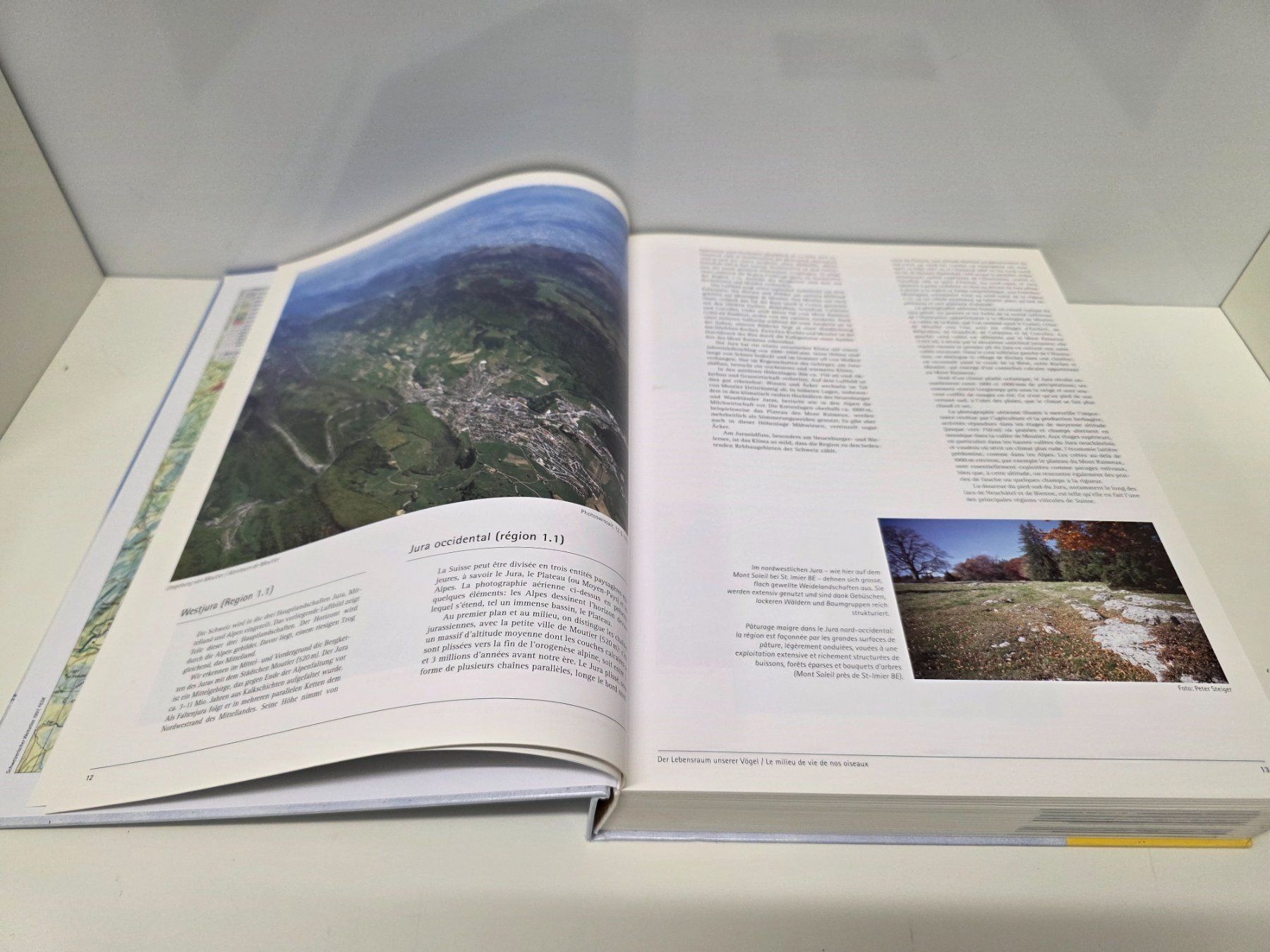 Libri: Schweizer Brutvogelatlas Vogelwarte Sempach – Usato da Herisau venduto da Dinge-in-Bewegung 2