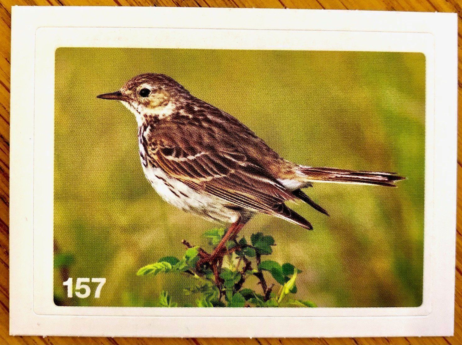 Migros Carte collezionabili: Migros Nature Detectives - Bild Nr. 157 – Nuovo (secondo la descrizione) da Oberrieden venduto da Zimmerberg10