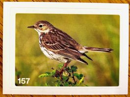 Migros Nature Detectives - Bild Nr. 157
