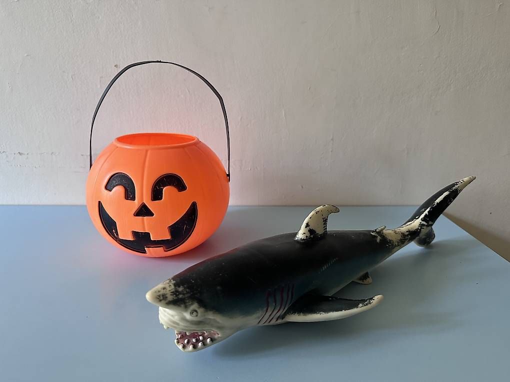 Alle Dekorationen: Halloween & Requin  – Gebraucht aus Riex von bonjour8