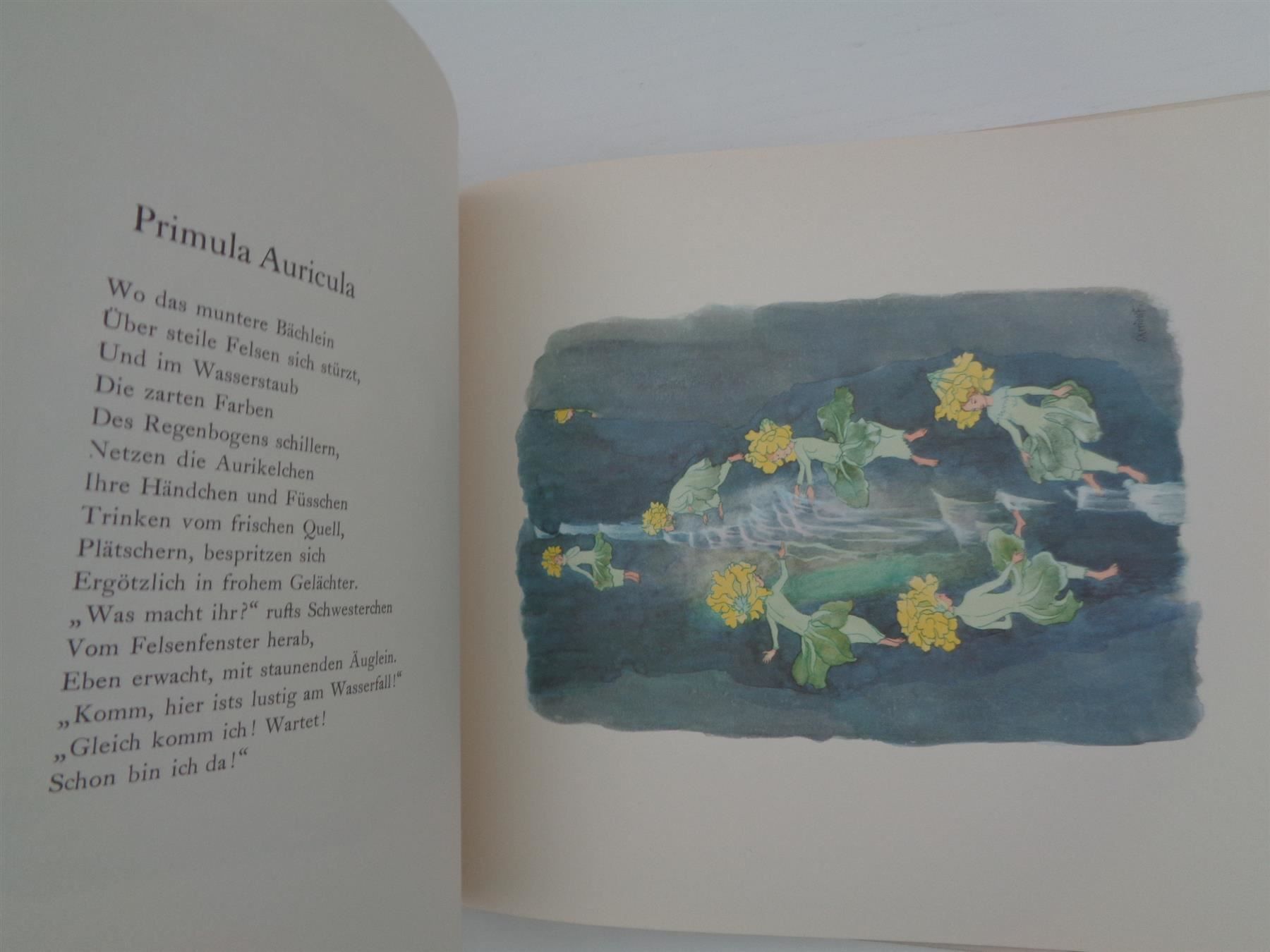 Libri: Alpenblumenmärchen von Ernst Kreidolf – Usato da Chur venduto da omonia 6
