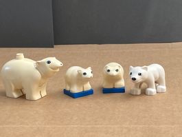 Lego Duplo Eisbär Eisbären Zoo