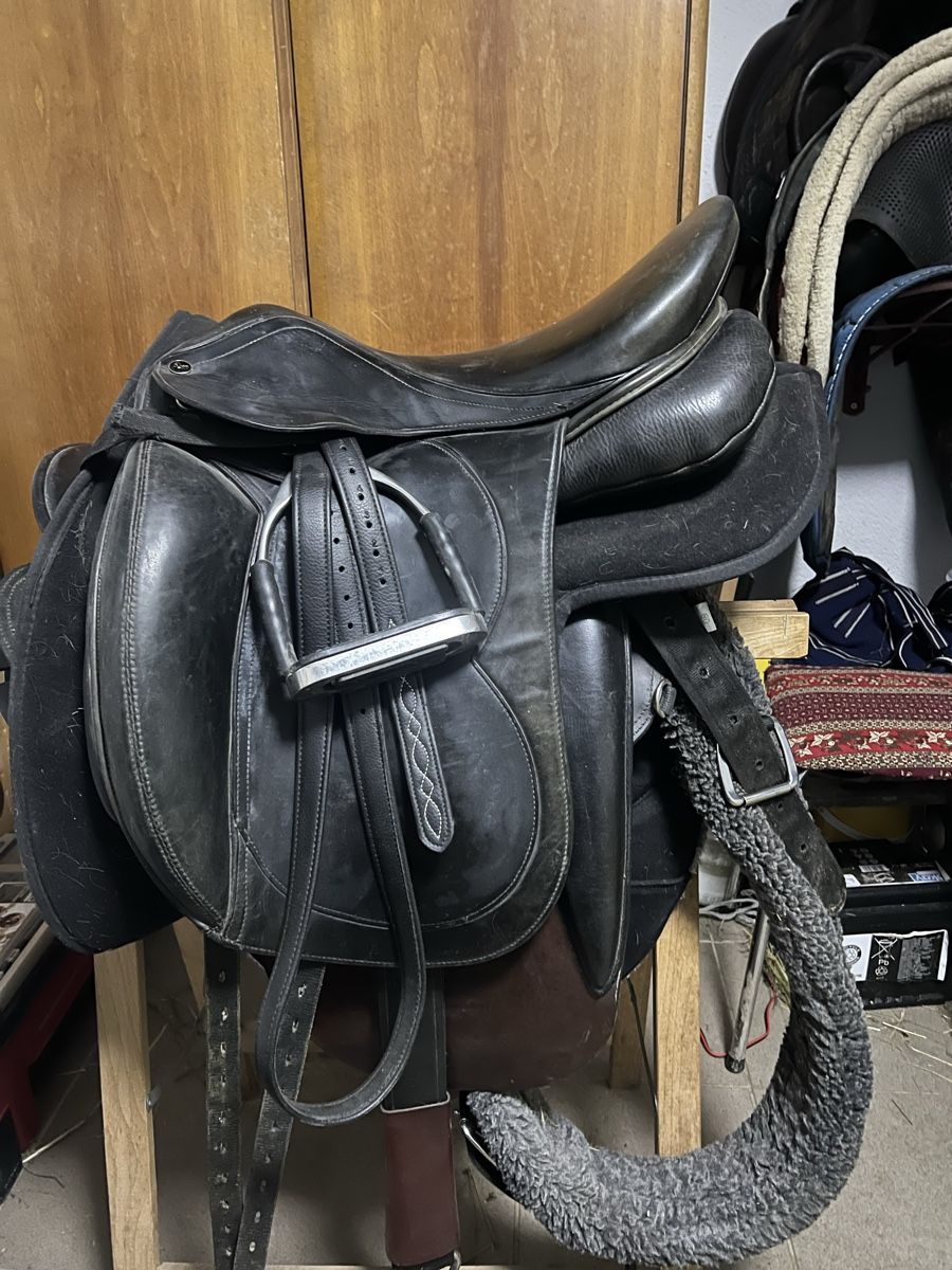 Selle & Accessori: Maxflex Dressursattel – Usato da Oberrindal venduto da Patowanne