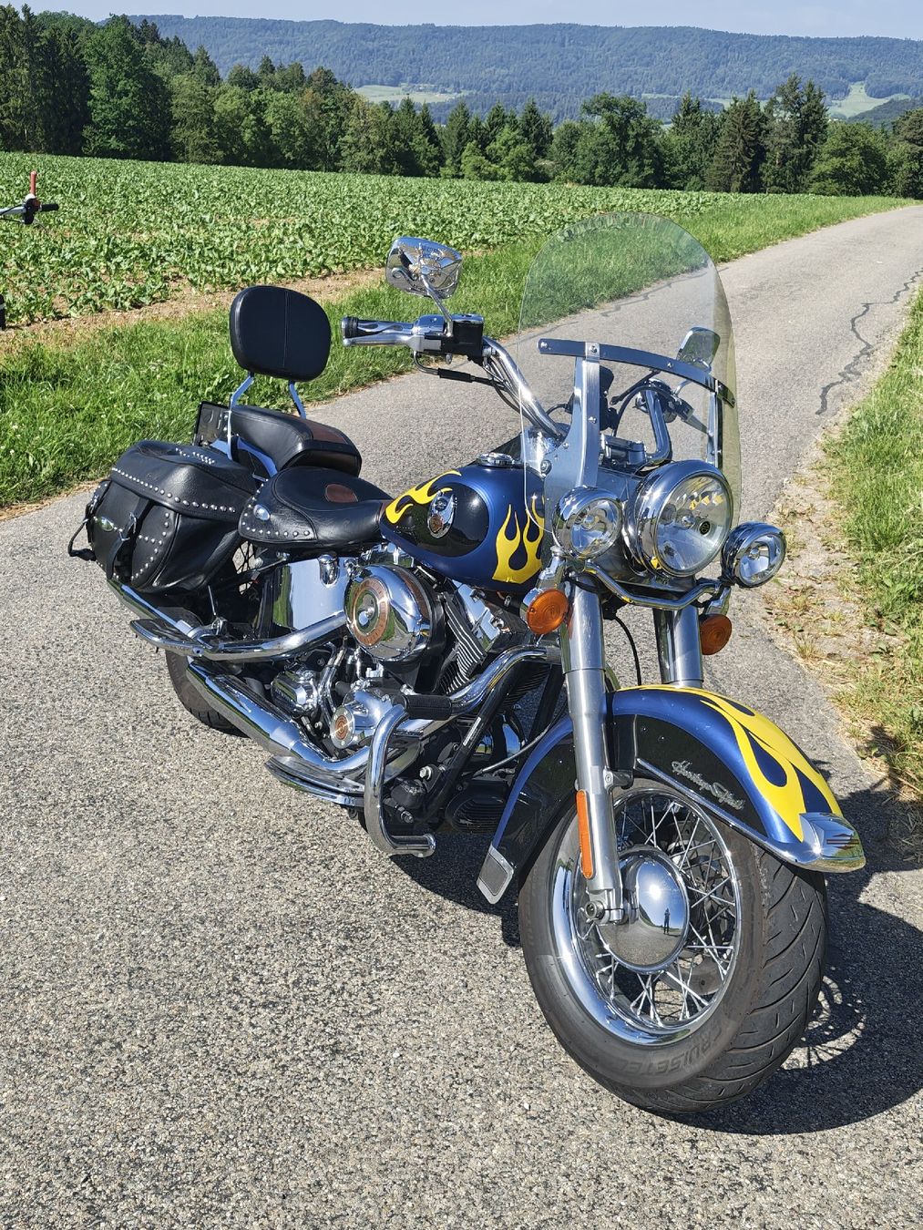 Harley-Davidson Chopper: Harley Davidson Softail classic, frisch ab service. – Gebraucht aus Lufingen von DannyT01 6