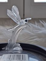 Libelle Swarovski,  Versand auch möglich