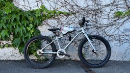 Early Rider 20"