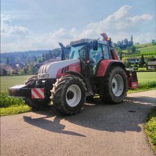 Profile image of fipu1993