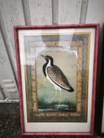 Lithographie "Vanneau" - Oiseau - Vintage