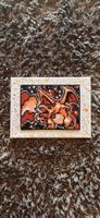Charizard - Hama Beads 