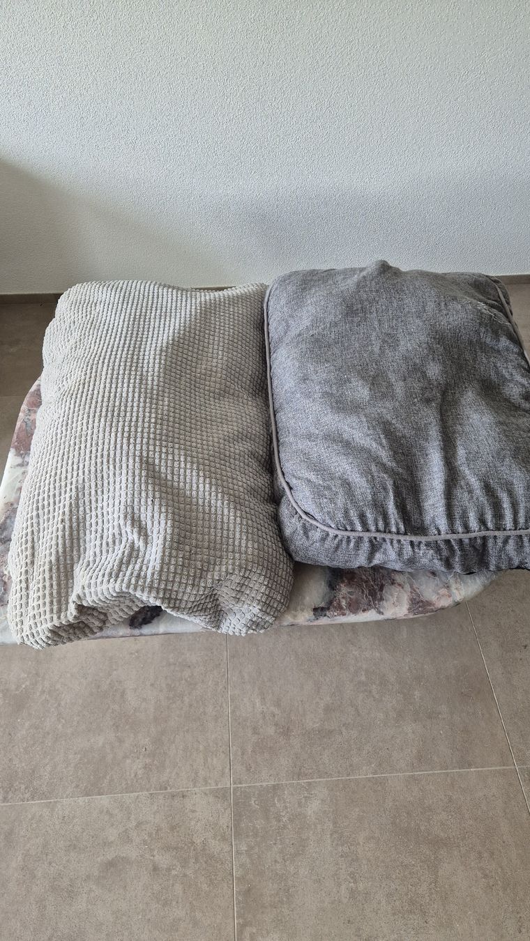 Cucce & Letti: Hundebetten und Duvet – Usato da Klingnau venduto da putinocchio