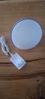 Philips Hue Go