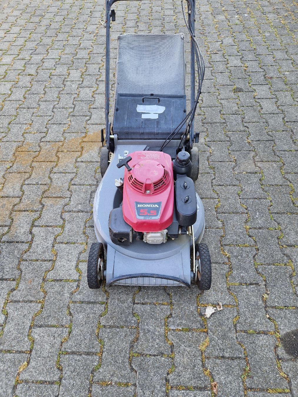 Tagliaerba: Rasenmäher mit Honda Motor – Difettoso da Grosswangen venduto da lar_9lz7 4