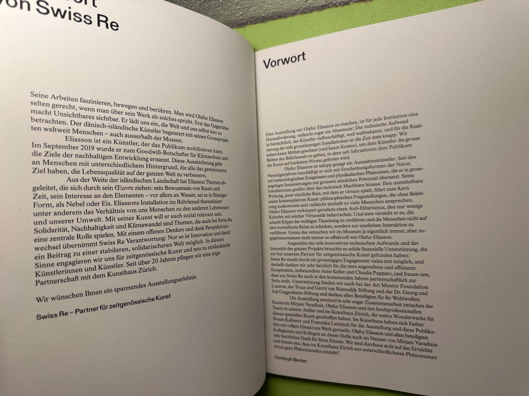 Libri: Olafur Eliasson: Symbiotic Seeing. – Usato da Zürich venduto da allp 5