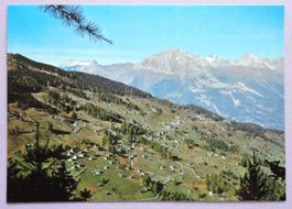Les Mayens-de-Riddes alt. 1500 m