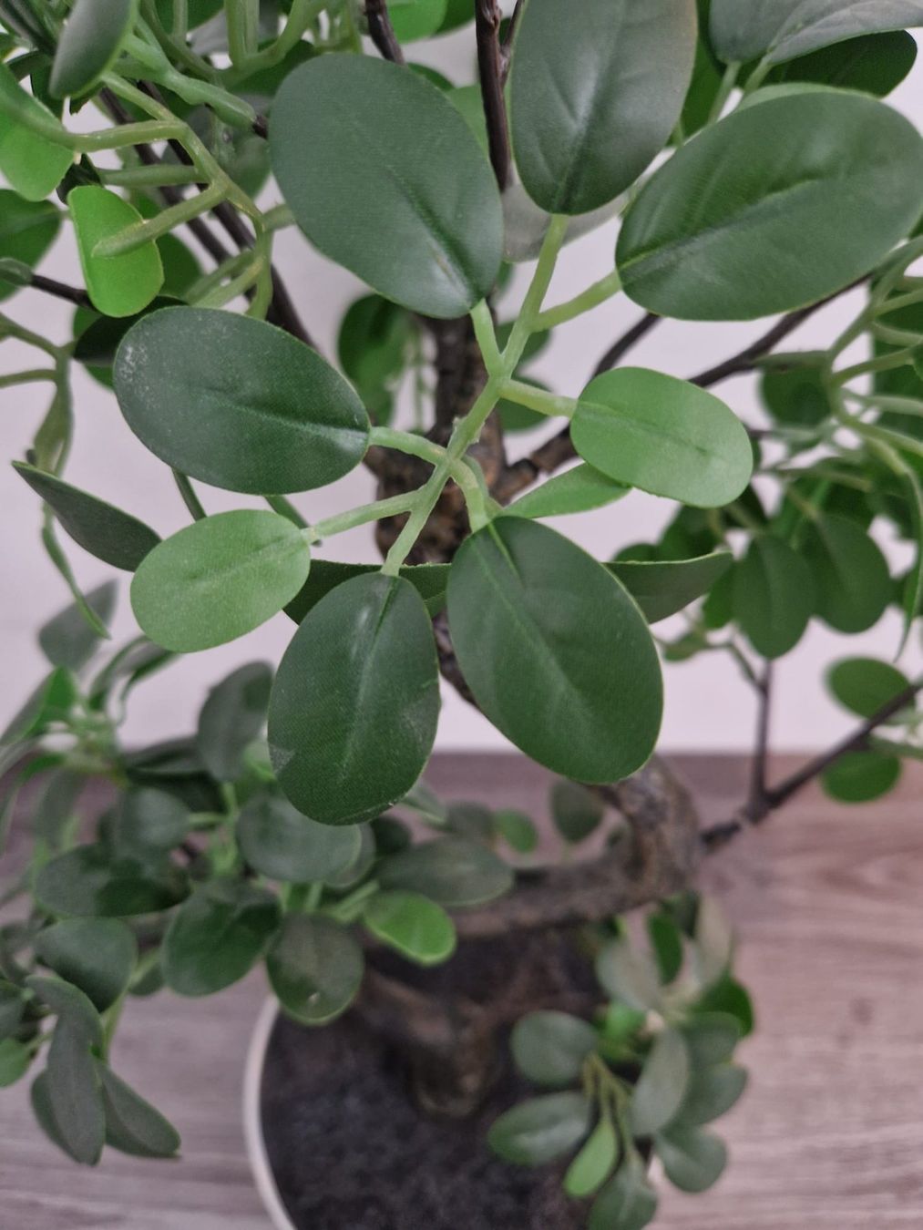IKEA FEJKA Bonsai Topfpflanze, knstlich (Gebraucht) in Basadingen fr CHF  28  mit Lieferung auf Ricardo kaufen