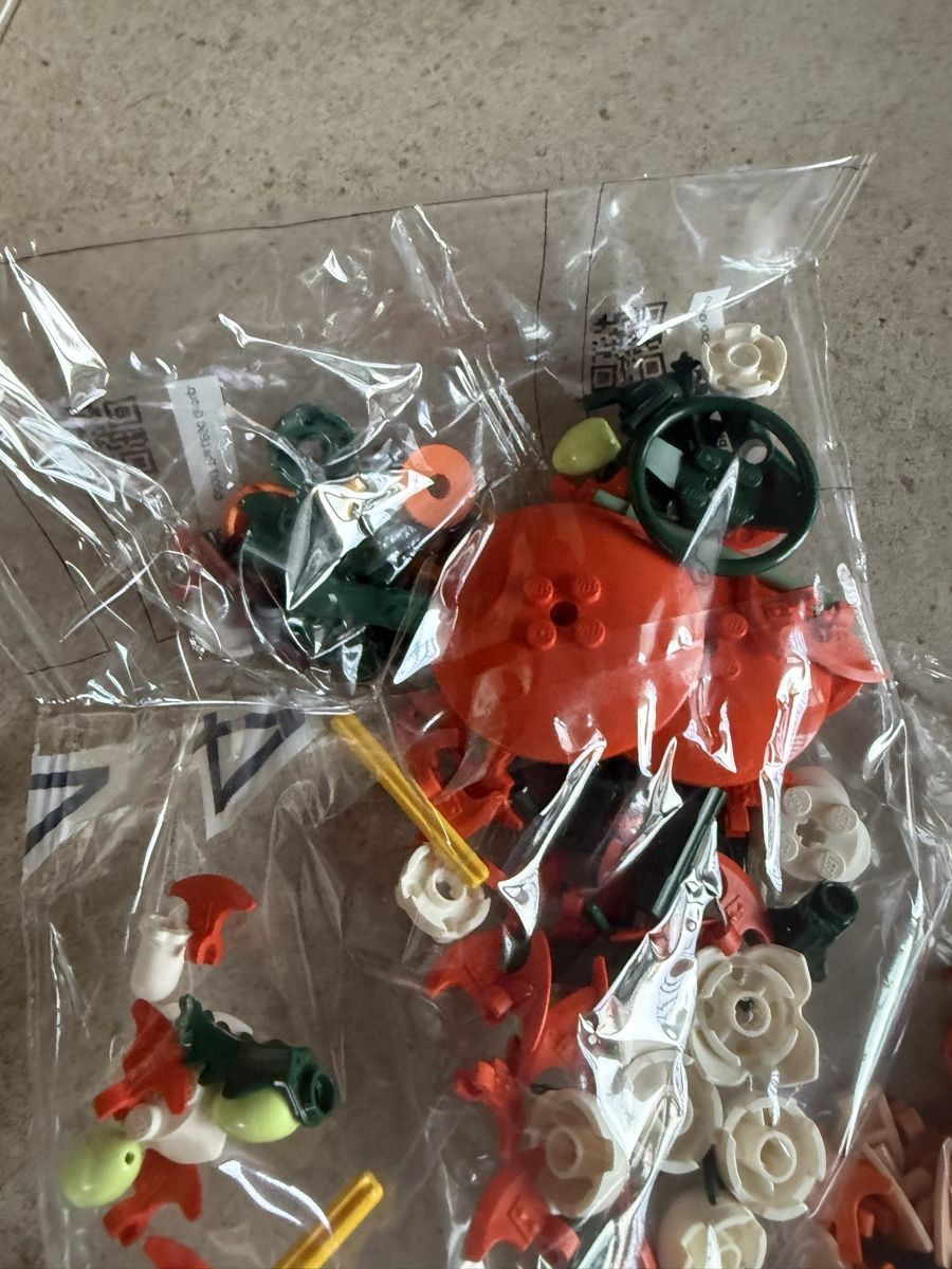 Lego Jouets: LEGO Botanicals ungeöffnet – Neuf (Voir description) à Hüttwilen par sar_8gj7 2