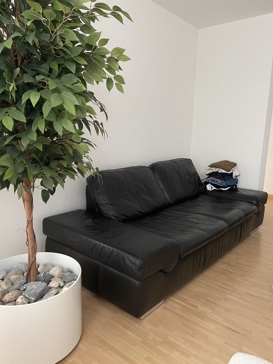 Musterring Sofas: Echtledersofa schwarz mit Metallfüssen – Gebraucht aus St. Gallen von absky 4
