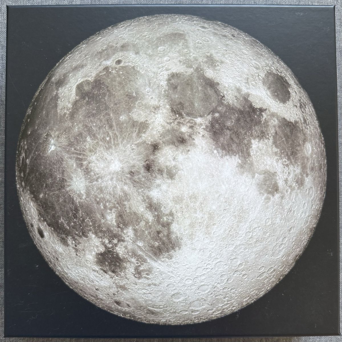 Puzzle: The Moon - Four Point Puzzles 1000 Piece Circular Puzzle – Usato da Basel venduto da ser_5v8v