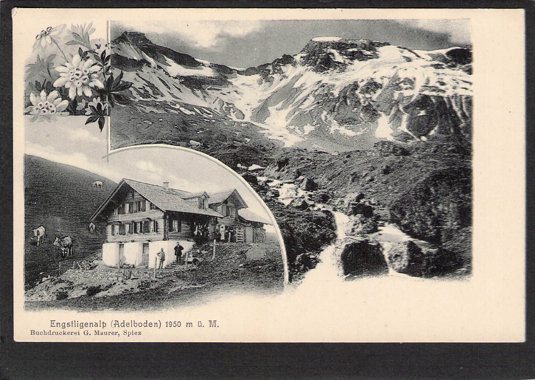 Ansichtskarten: AK× BE Adelboden , Engstligenalp – Gebraucht aus Reichenburg von Pipo-67