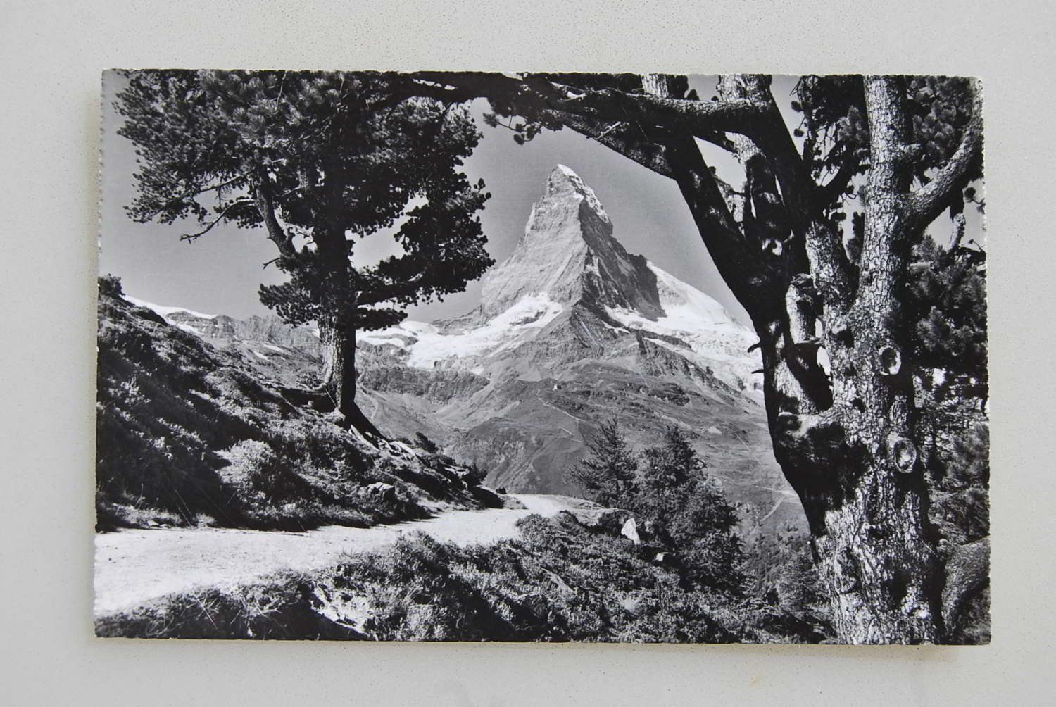 Cartoline postali: AK Zermatt, Matterhorn – Usato da Rüfenacht BE venduto da Toro06