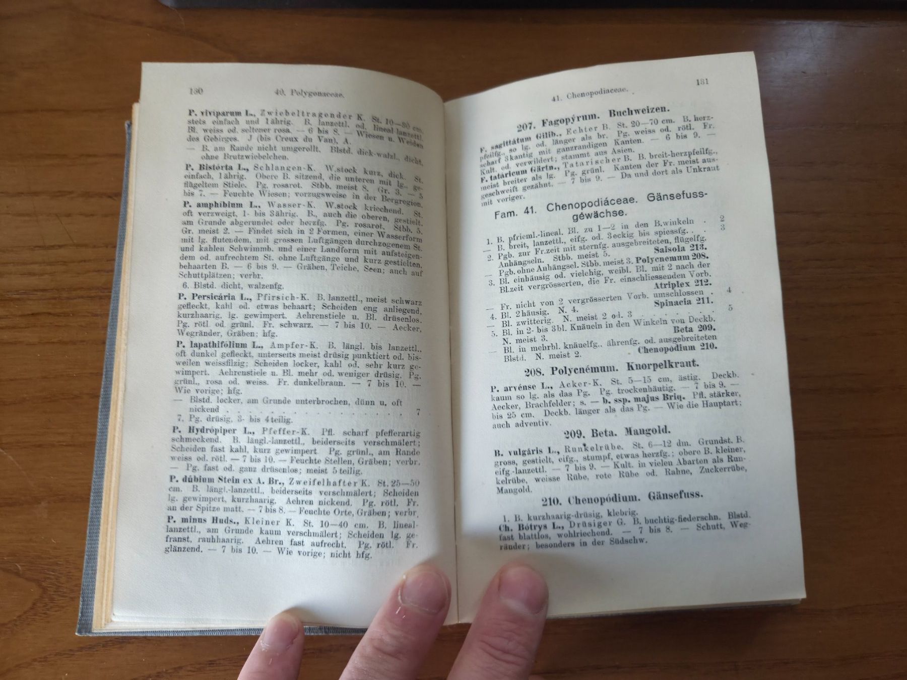Libri: Binz Schul- und Exkursionsflora Schweiz 1920 – Usato da Aldesago venduto da lusuardi 8