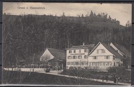 Ak Gruss V.Hasenstrick ZH 1913
