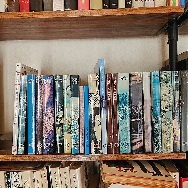 Livres: Mondo Bücher – D'occasion à Stetten AG par Wurzel010