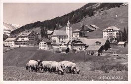 Sörenberg LU // 1939 Schafe Dorf Schafherde