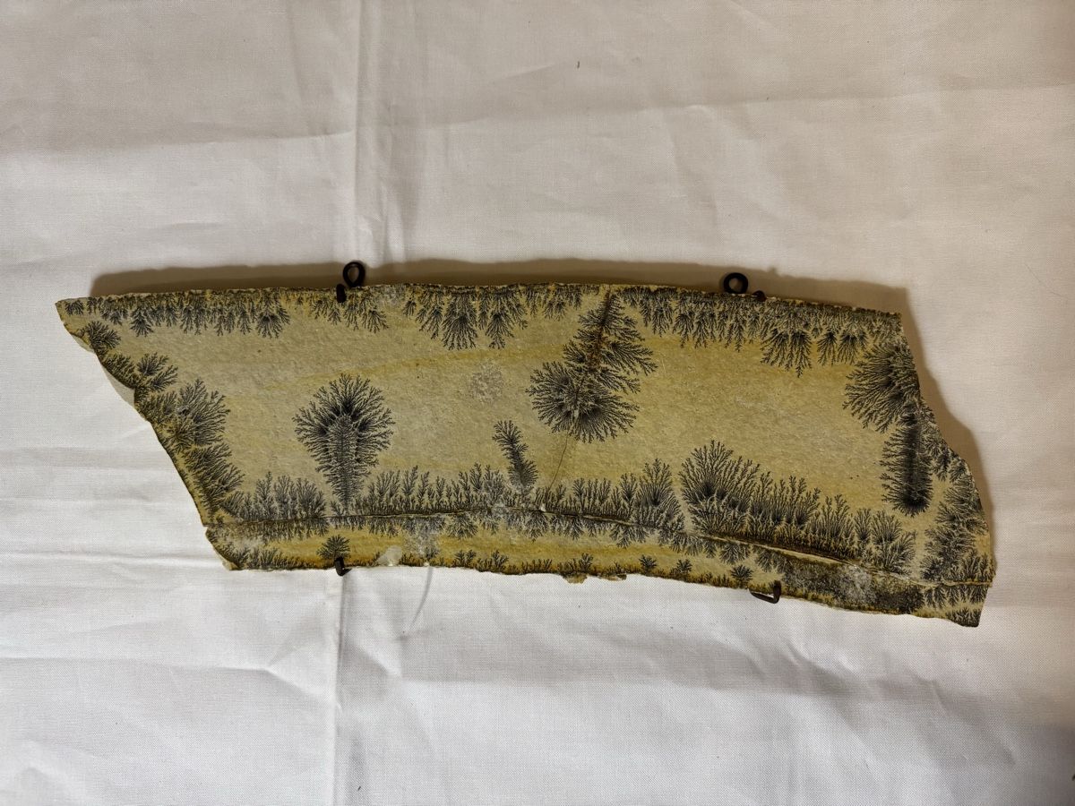 Piatti di portata: Dendritenplatte 41 x 14 cm – Usato da Gränichen venduto da onkel_xxl