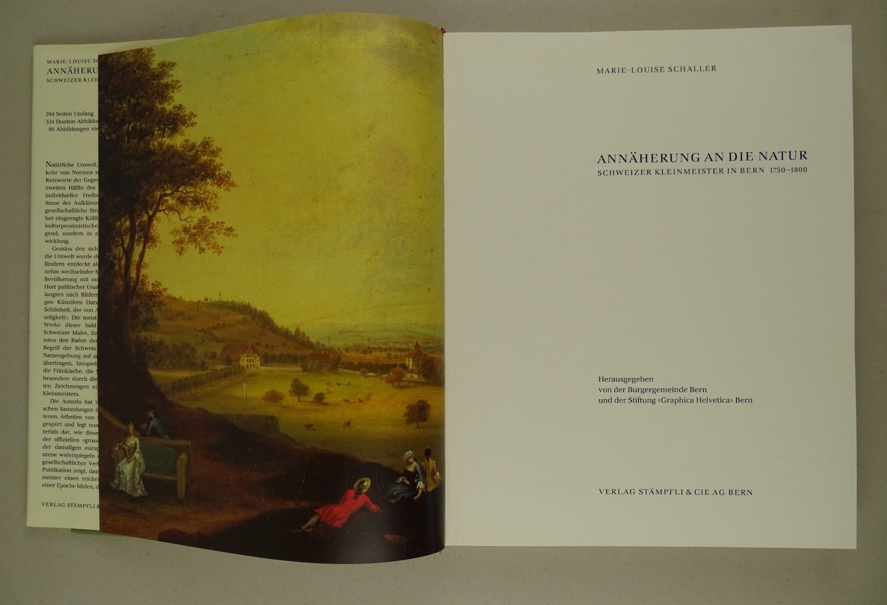 Libri: SCHWEIZER KLEINMEISTER IN BERN 1750-1800 – Usato da Grüningen venduto da Kartensammler 1