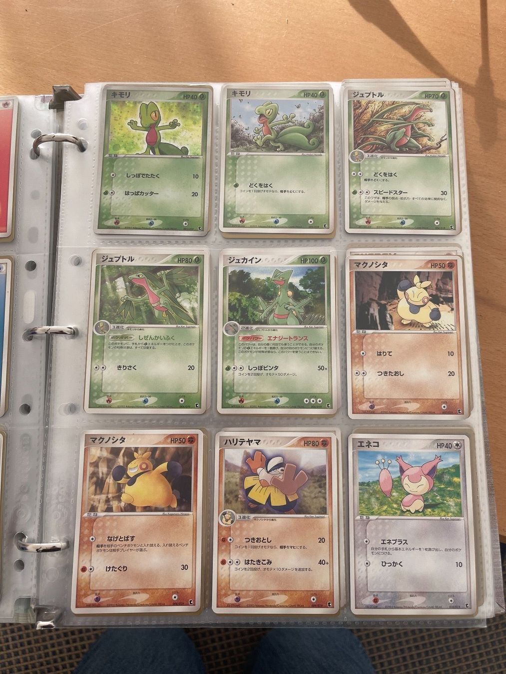 Pokémon Carte collezionabili: Kimori Starter Deck, Japan, 2003 – Usato da Uster venduto da pamakemi