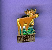 WILDPARK LANGENBERG  Hirsch