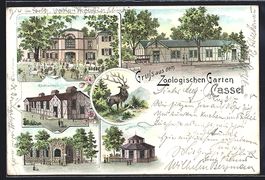Litho Kassel, Zoologischer Garten, Raubt