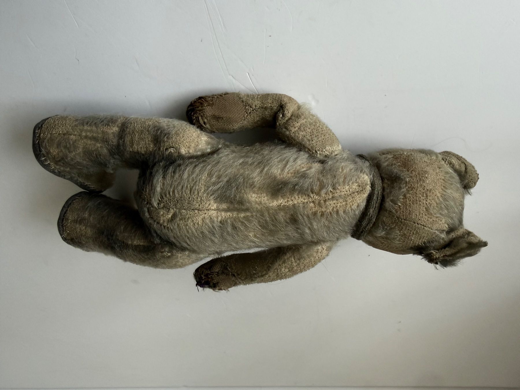 Giocattoli: Antiker Teddybär – Usato da Zwingen venduto da moje1 4