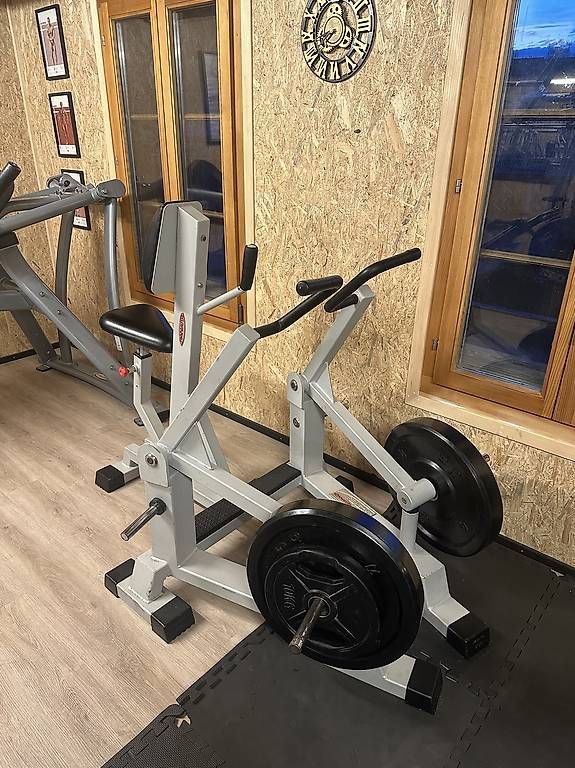 Hometrainer: Panatta Rudermaschine – Usato da Krauchthal venduto da jariskellner