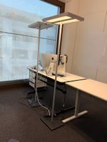 2 Tradingzone Stehlampen (Lot 103) 8304 Wallisellen