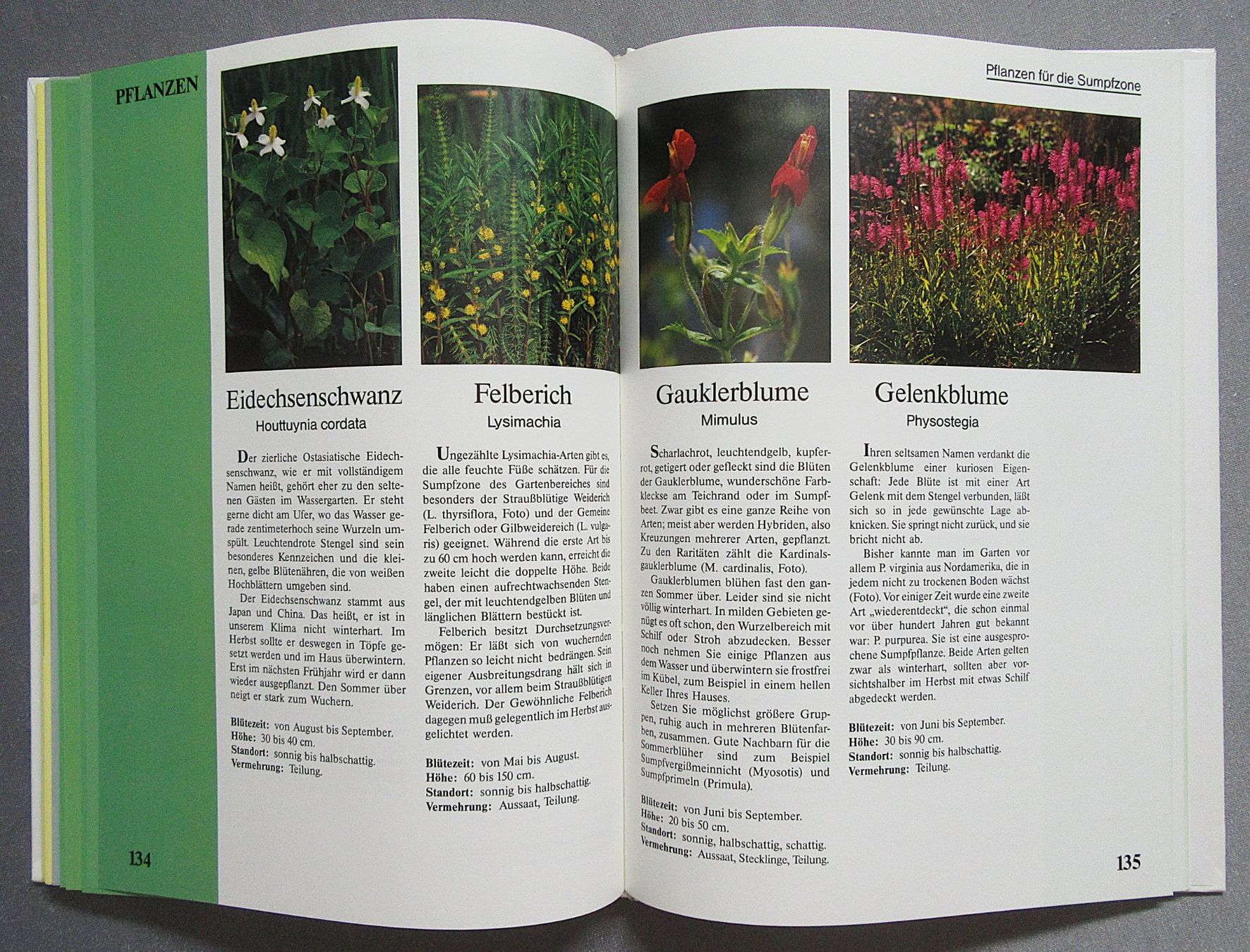 Libri: Der Wassergarten - Teiche • Bäche • Pflanzen • Tiere – Usato da Auenstein venduto da Padabimbim 8