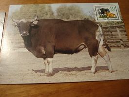 DDR, Satz Maximumkarten 1985, Bedrohte Tiere